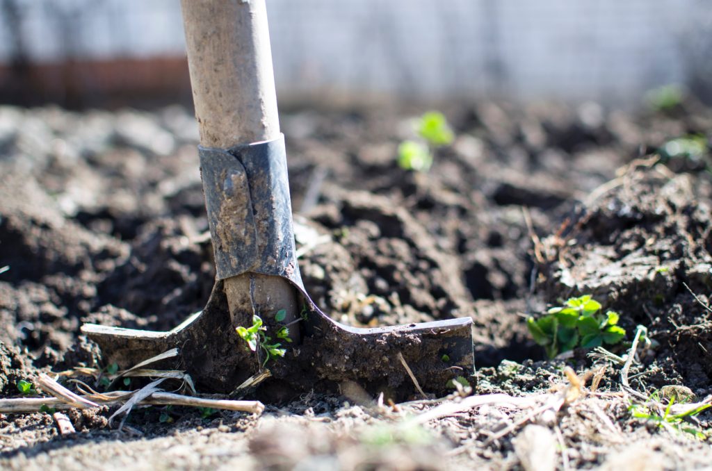 A picture of a shovel in freshly dug dirt representing the work we need to do to build the community and society we want after the pandemic