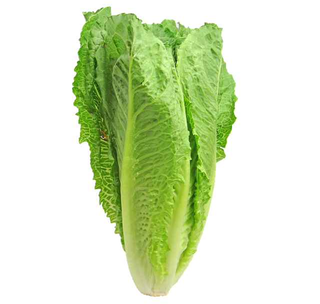 Outbreaks in Romaine Lettuce continue