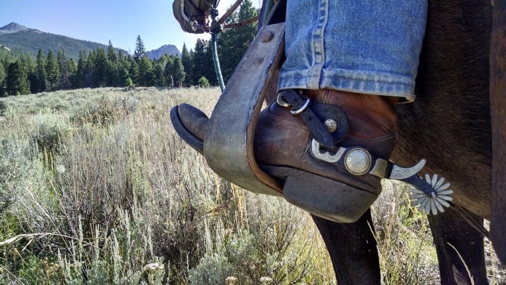 A boot in a stirrup representing the American dream