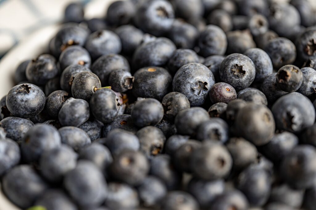 Blueberries representing local agriculture.