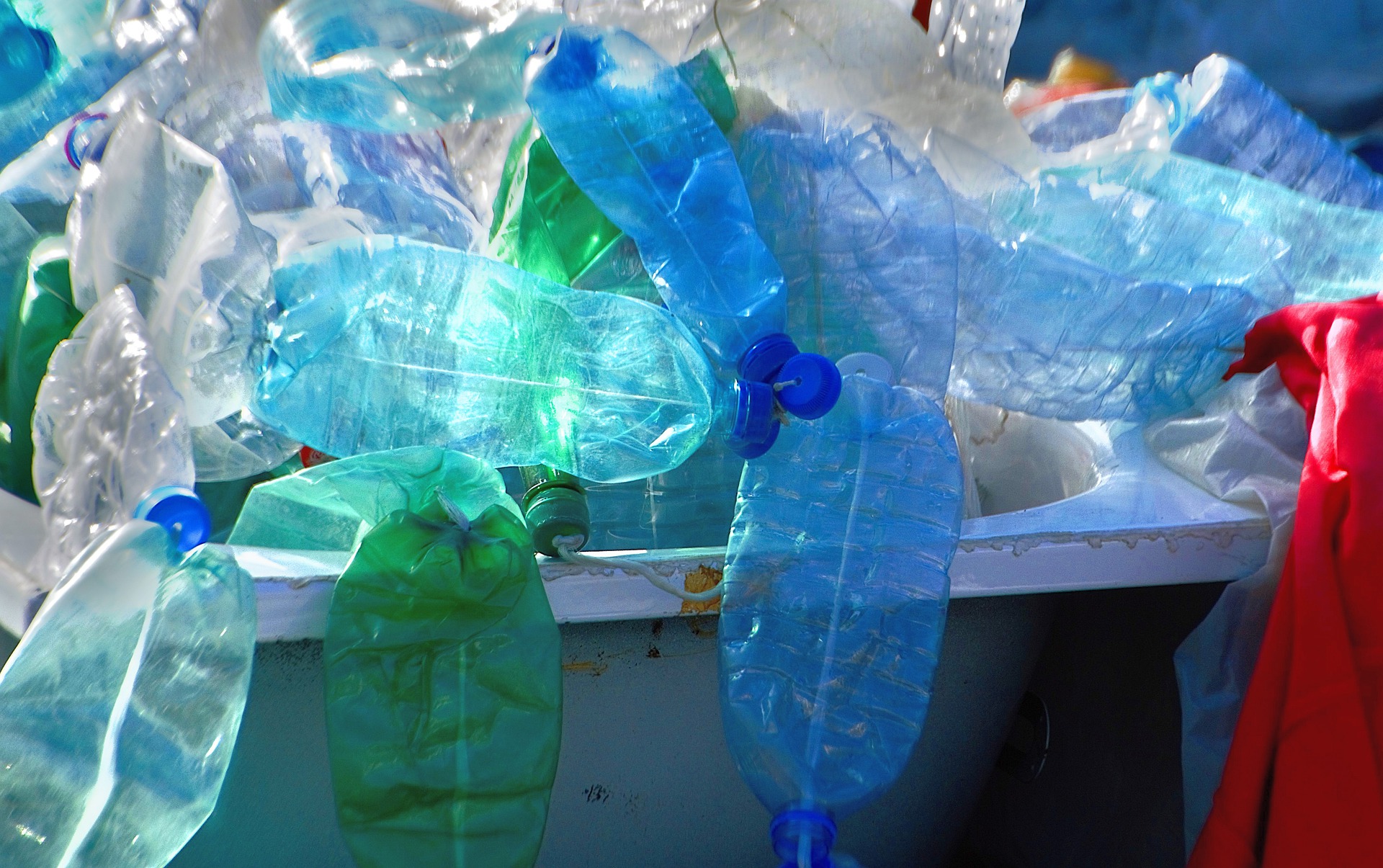 plastic bottles in a trash bin. What a waste!