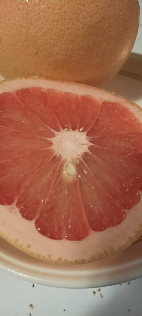 Half a pink grapefruit