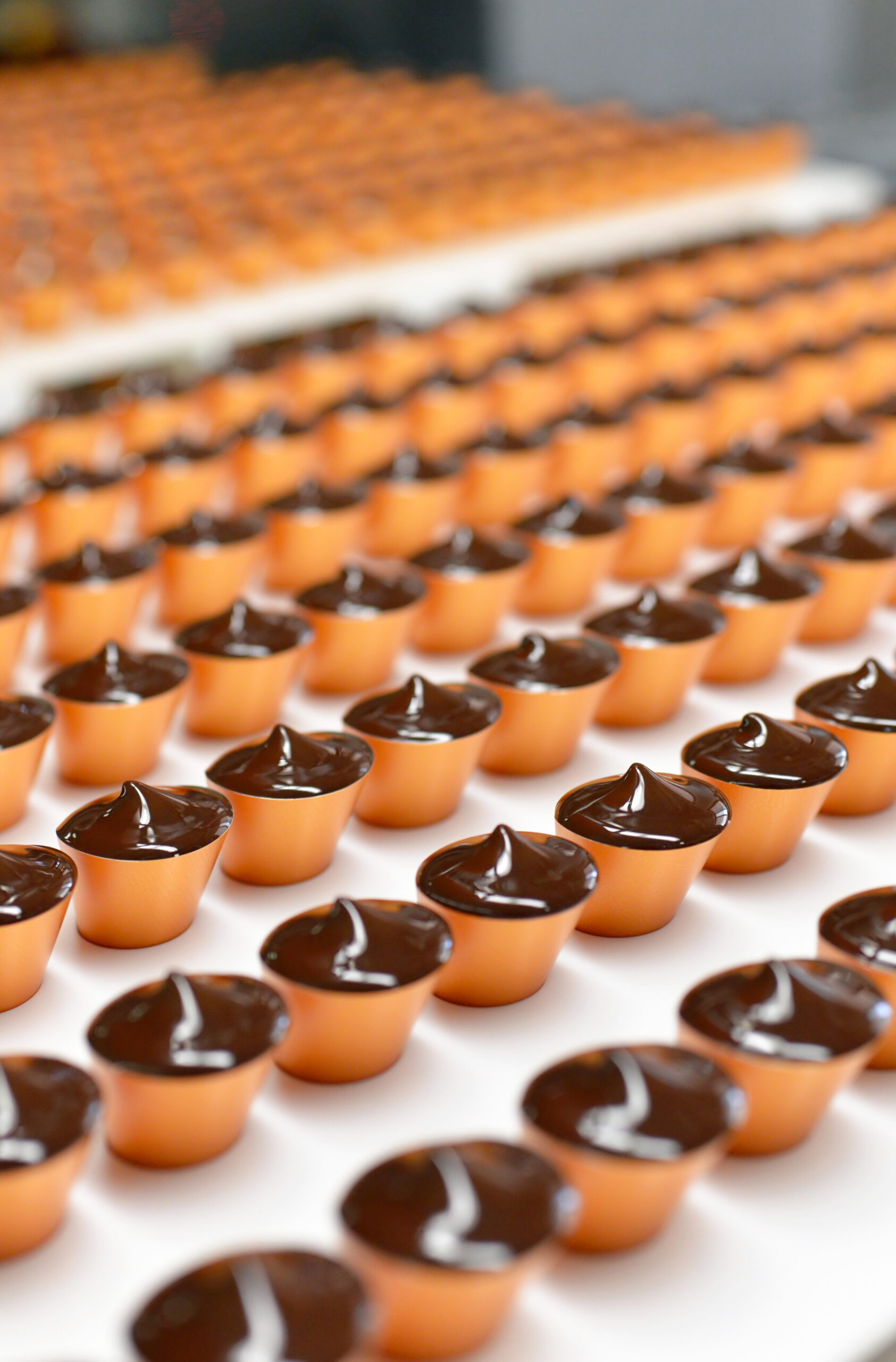 pralines in a factory